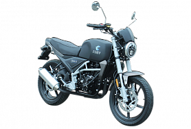 Мотоцикл ZiD 300-01